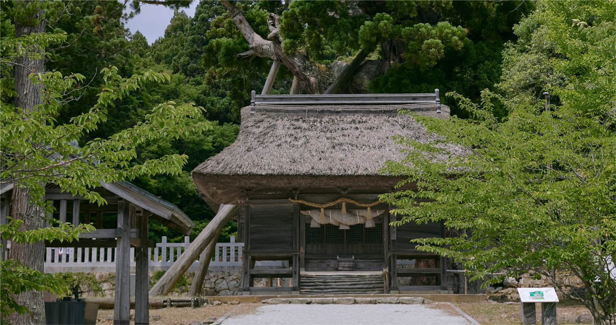 玉若酢命神社